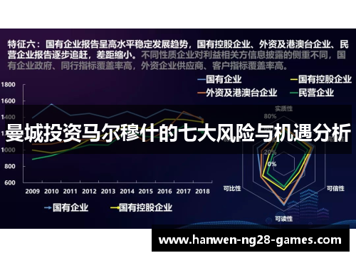 曼城投资马尔穆什的七大风险与机遇分析